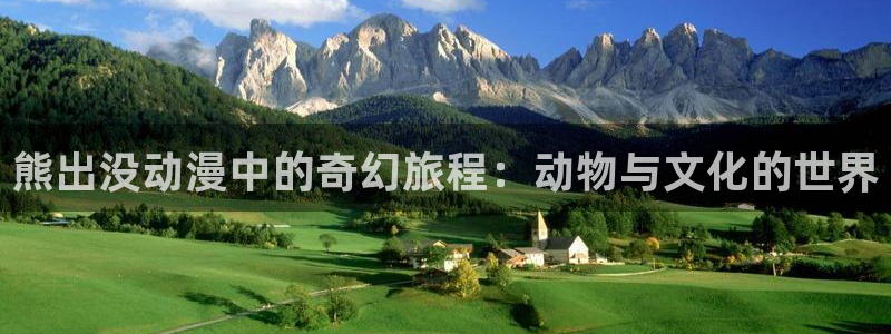 58动漫大全：熊出没动漫中的奇幻旅程：动物与文化的世界