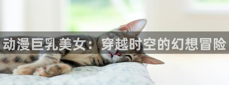 58动漫网站免费看：动漫巨乳美女：穿越时空的幻想冒险