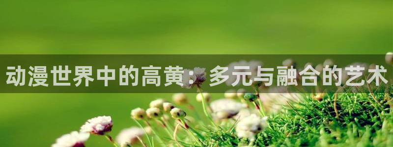 58动漫网全网动漫全集免费观看：动漫世界中的高黄：多元与融合的艺术