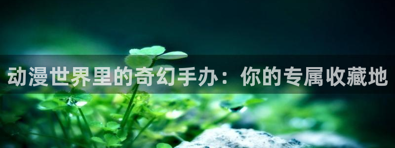 58动漫官网免费进入：动漫世界里的奇幻手办：你的专属收藏地